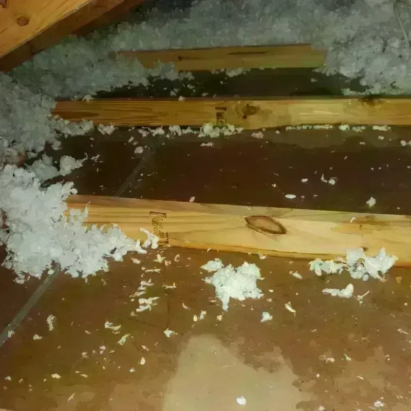 Attic Water Damage in Eureka, IL