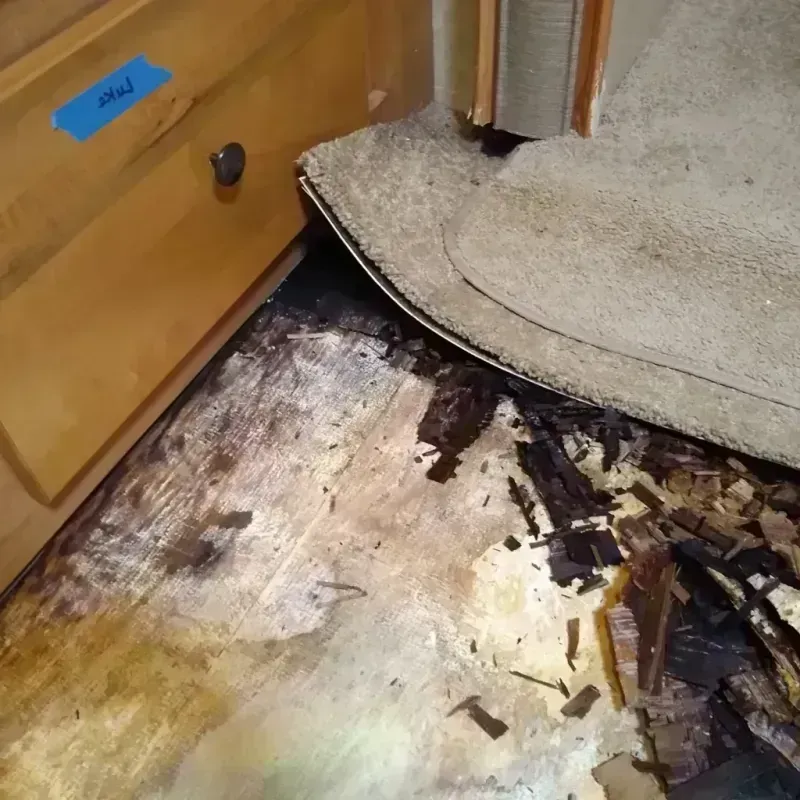 Best Wood Floor Water Damage Service in Eureka, IL